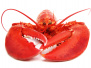 2015 - NSIWA Lobster Day