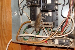 Mouse-in-panel